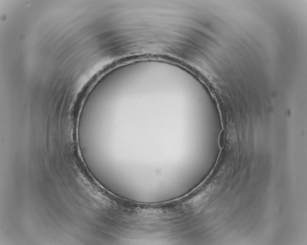 X0000088091118200706011557