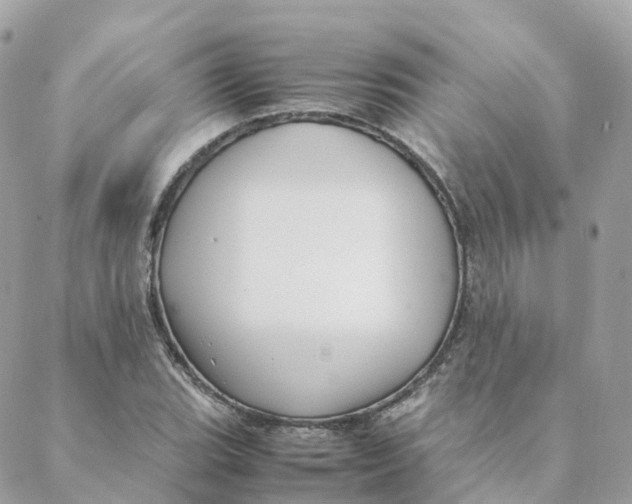 X0000088091119200706011557