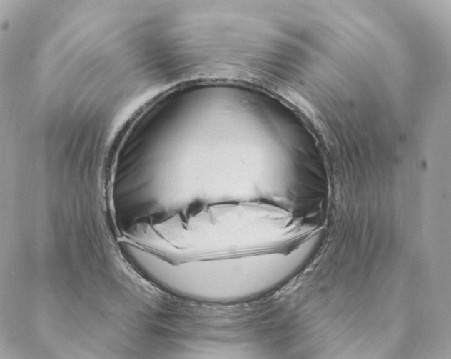 X0000088091120200706011557