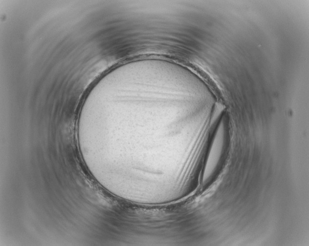 X0000088091121200706011557