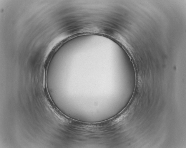 X0000088091123200706011557