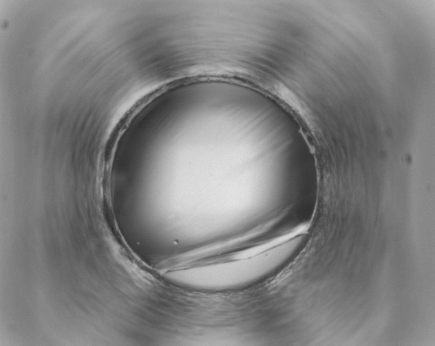 X0000088091124200706011557