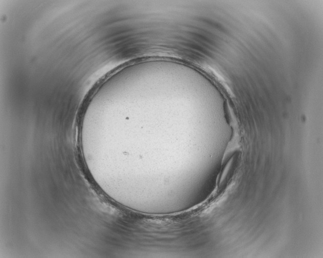 X0000088091125200706011557