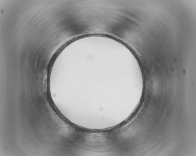 X0000088091126200706011557