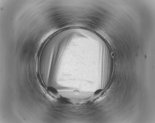 X0000088091127200706011557