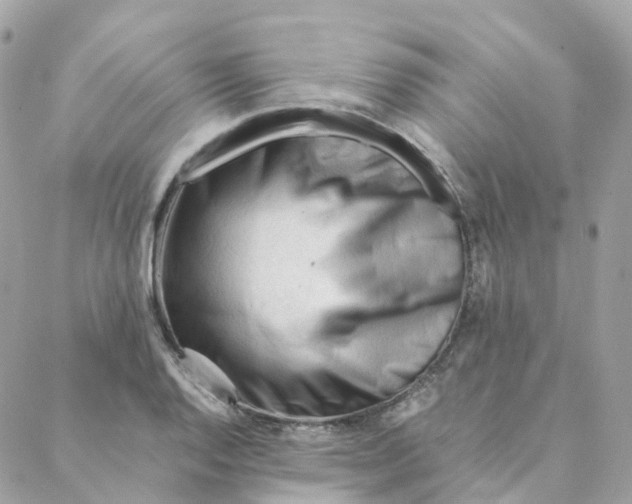 X0000088091128200706011557