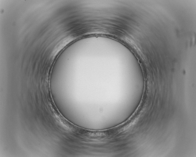 X0000088091129200706011557