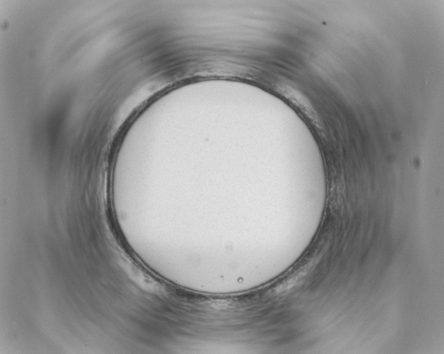 X0000088091130200706011557