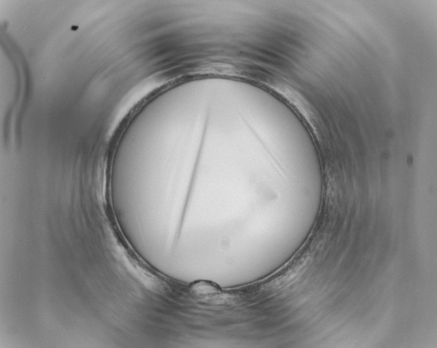 X0000088091131200706011557