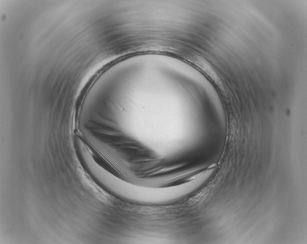 X0000088091132200706011557