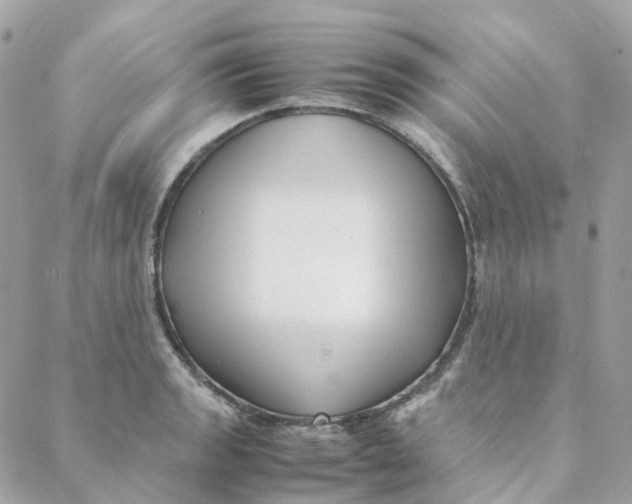 X0000088091133200706011557