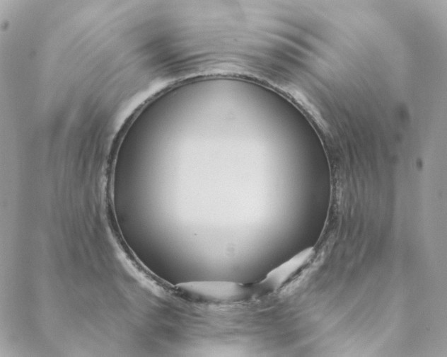 X0000088091134200706011557