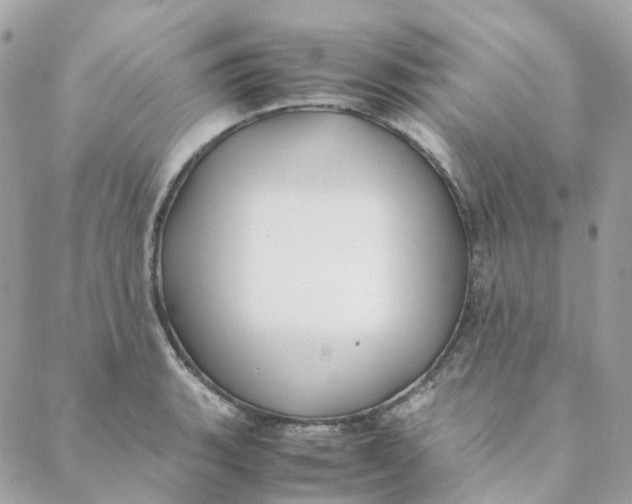 X0000088091135200706011557