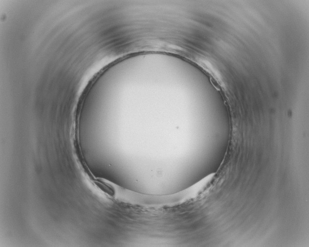 X0000088091136200706011557