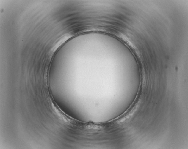 X0000088091137200706011557