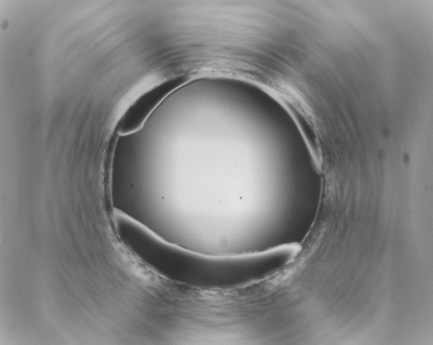 X0000088091138200706011557