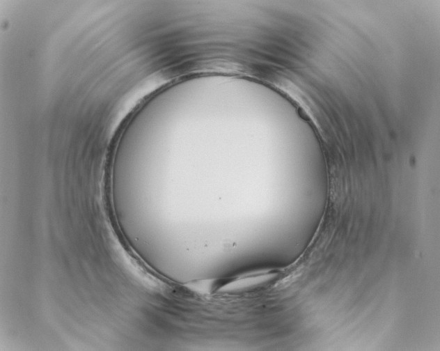 X0000088091139200706011557