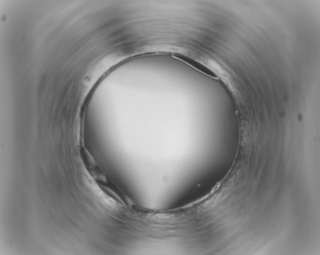 X0000088091140200706011557