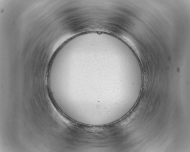 X0000088091141200706011557