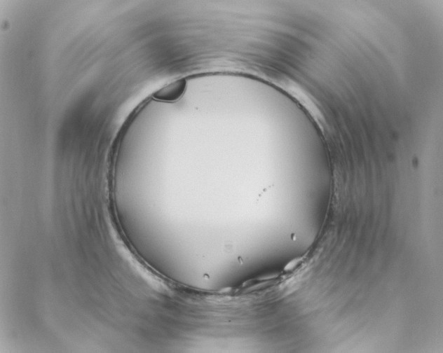 X0000088091142200706011557