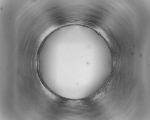 X0000088091143200706011557