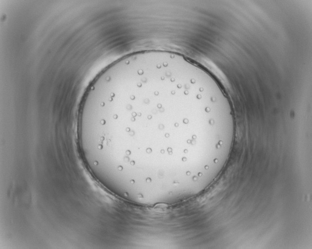 X0000088091144200706011557