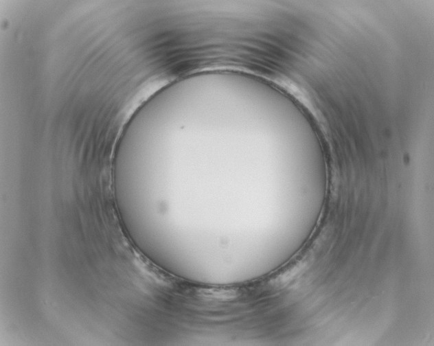 X0000088091145200706011557