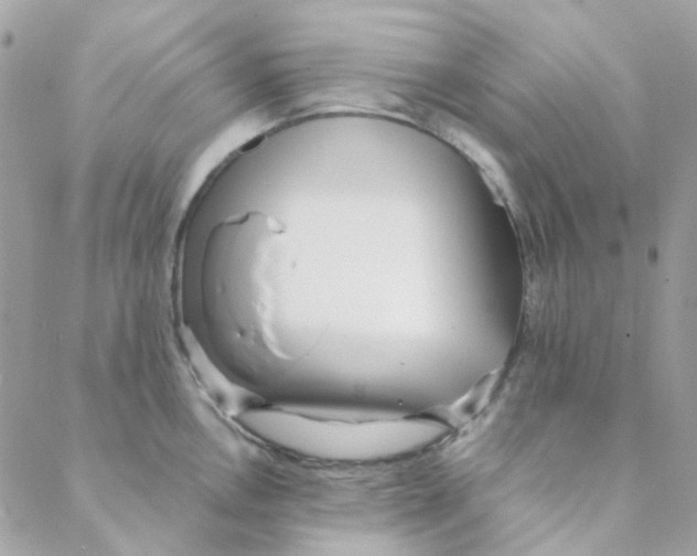 X0000088091146200706011557