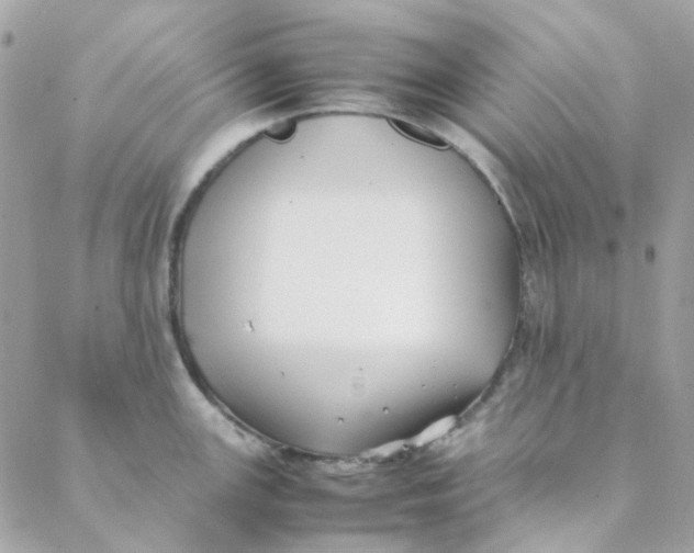 X0000088091147200706011557