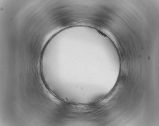 X0000088091149200706011557