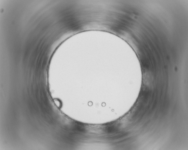 X0000088091150200706011557