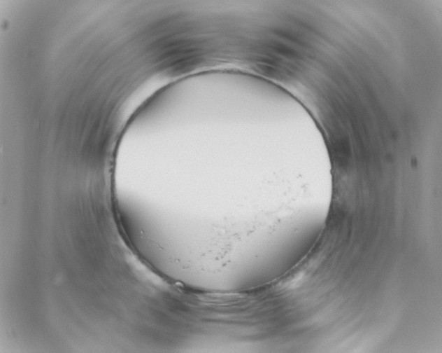 X0000088091151200706011557