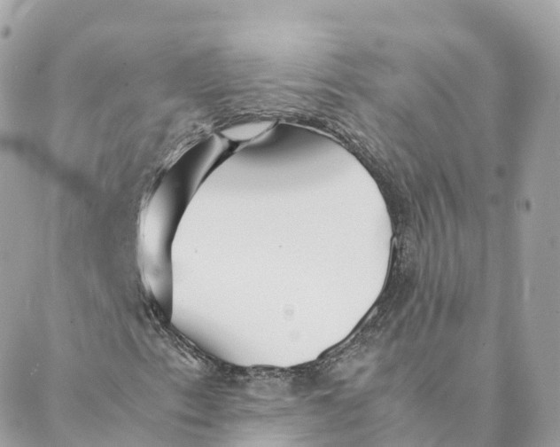 X0000088091153200706011556