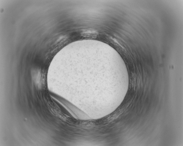 X0000088091154200706011556