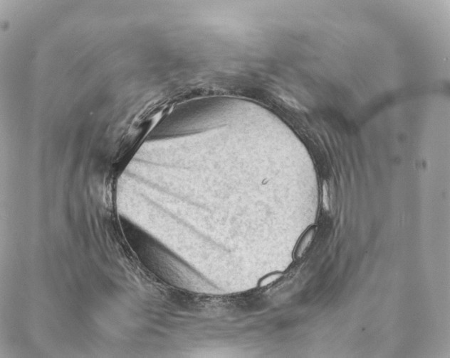 X0000088091155200706011556