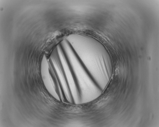 X0000088091156200706011556