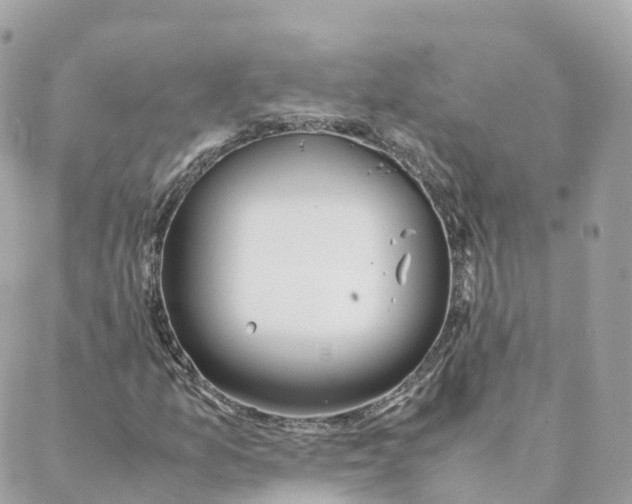 X0000088091157200706011556