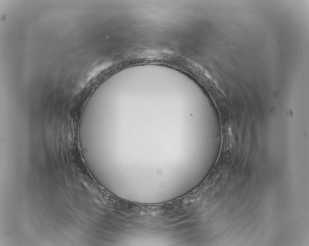 X0000088091158200706011556