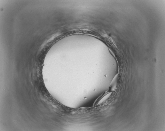 X0000088091159200706011556