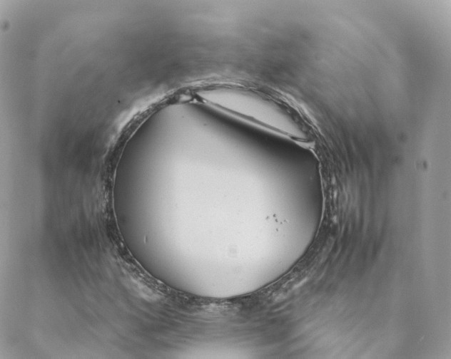 X0000088091160200706011556