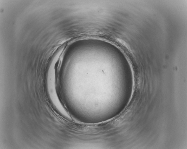 X0000088091161200706011556