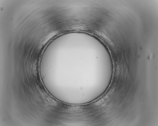 X0000088091162200706011556