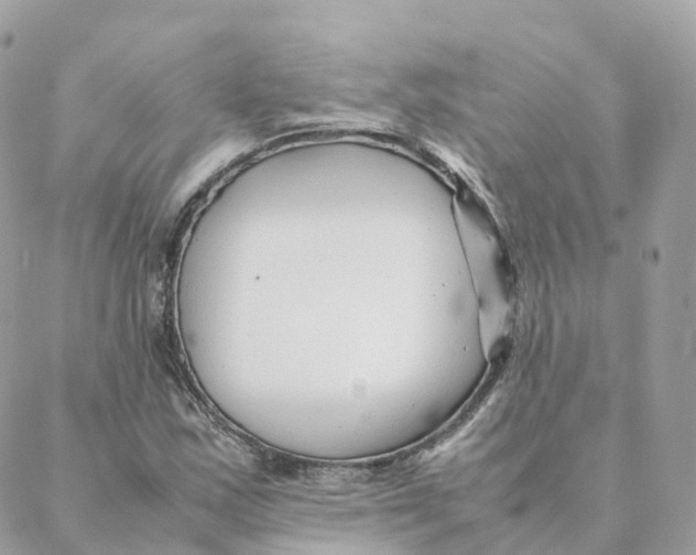 X0000088091163200706011556