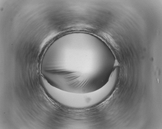 X0000088091164200706011556