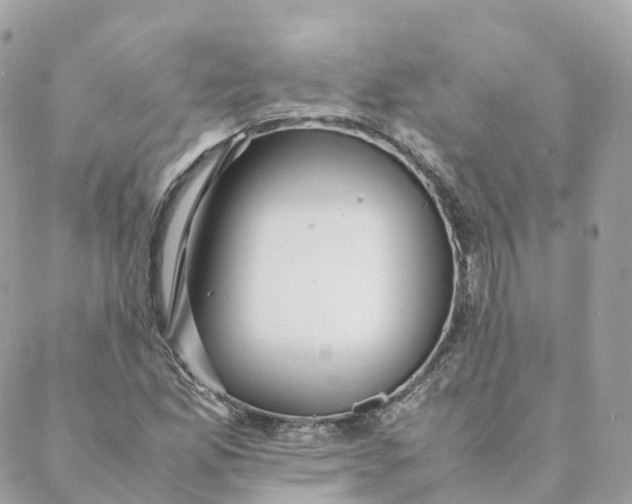 X0000088091165200706011556