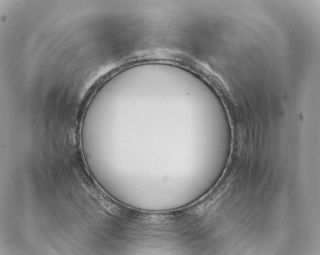 X0000088091166200706011556