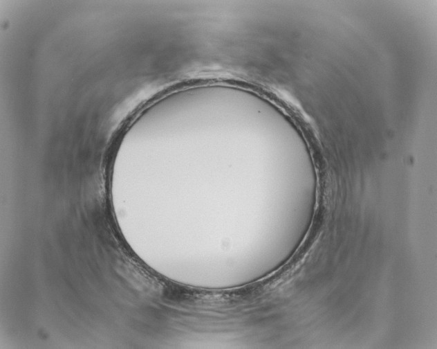 X0000088091167200706011556