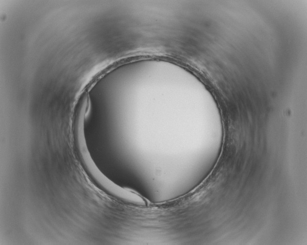 X0000088091168200706011556