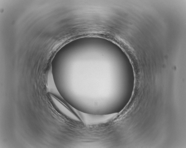 X0000088091169200706011556