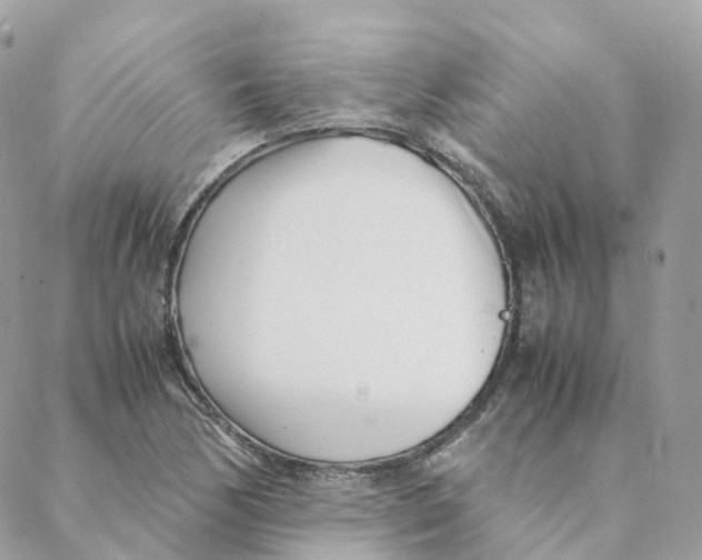 X0000088091170200706011556